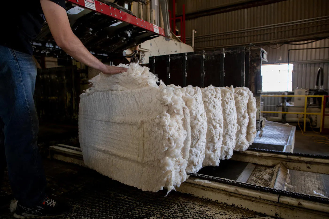 Catalyzing Agroecological Regeneration through the California Cotton and Climate Coalition